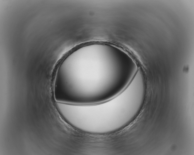 X0000091081168200708061039