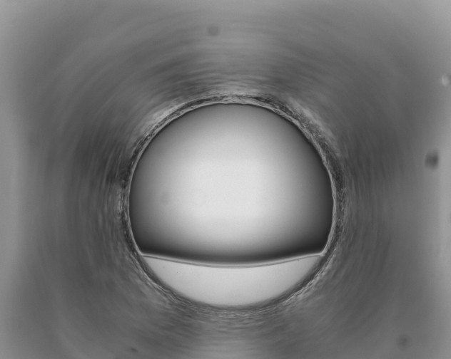 X0000091081169200708061039