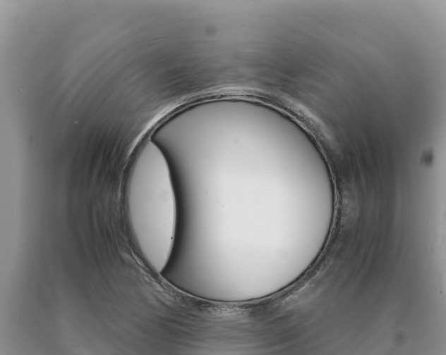 X0000091081170200708061039