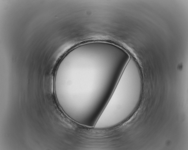 X0000091081171200708061039