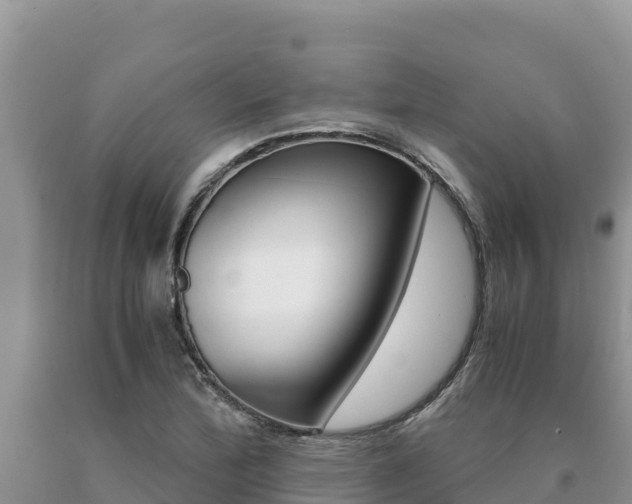 X0000091081172200708061039
