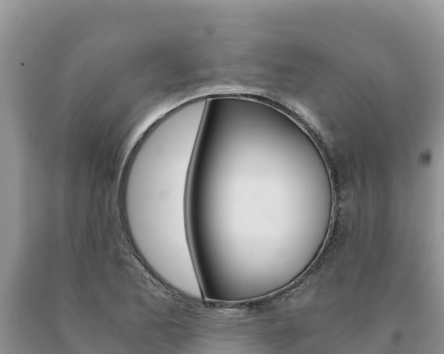 X0000091081173200708061039