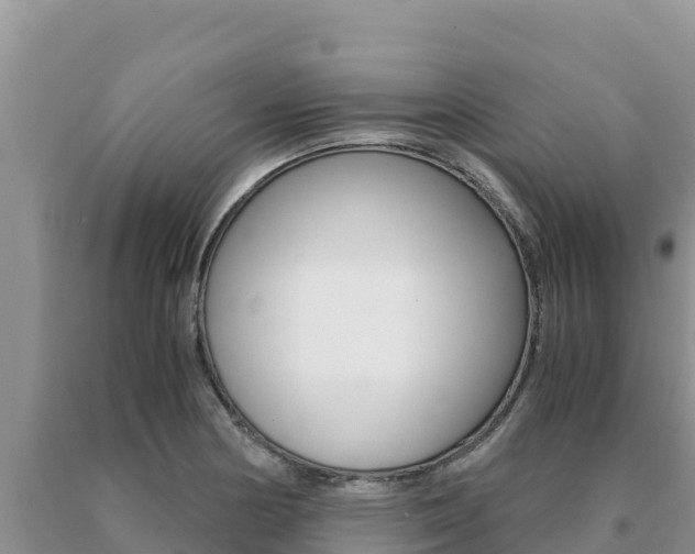 X0000091081178200708061039