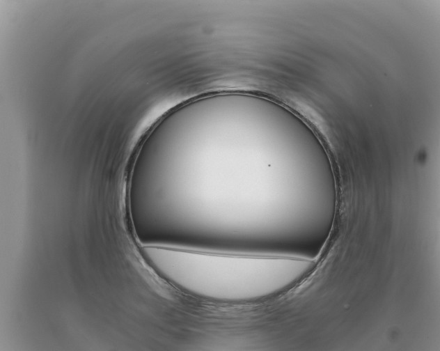 X0000091081179200708061039