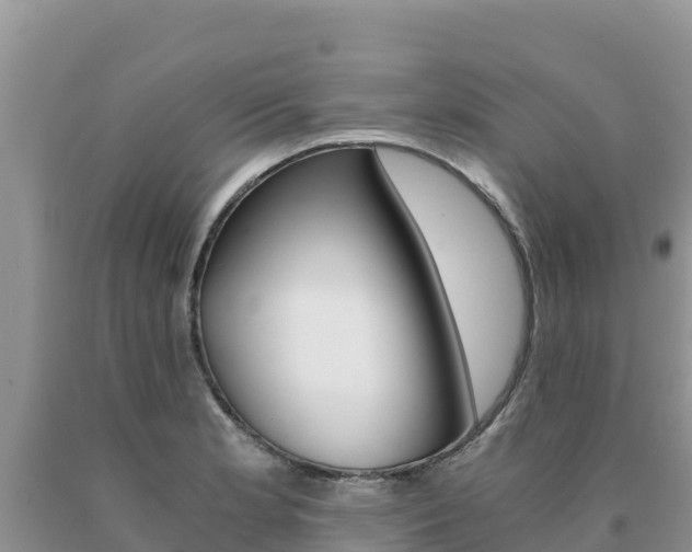X0000091081181200708061039