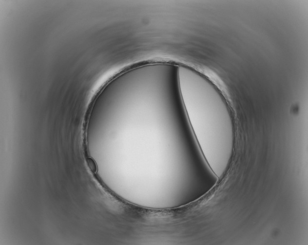 X0000091081183200708061039