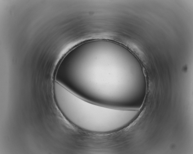 X0000091081184200708061039