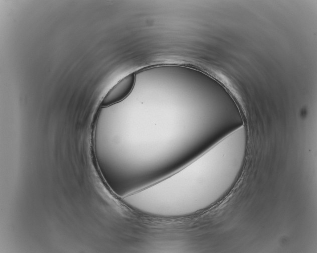 X0000091081187200708061039