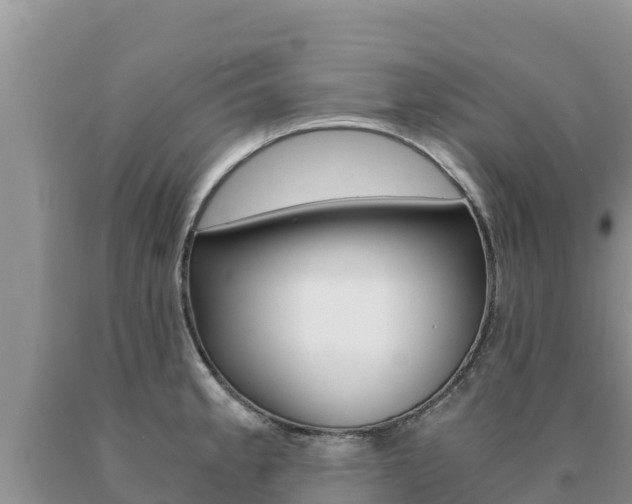 X0000091081189200708061038