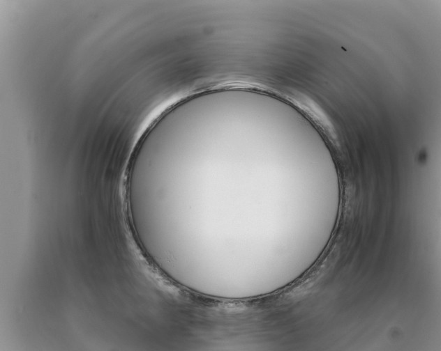 X0000091081190200708061038