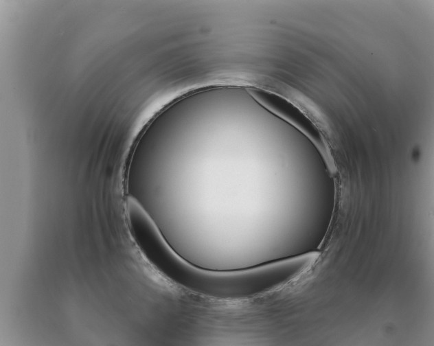 X0000091081192200708061038