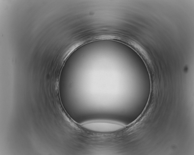 X0000091081193200708061038
