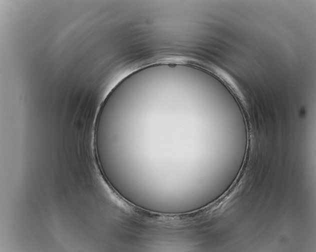 X0000091081194200708061038