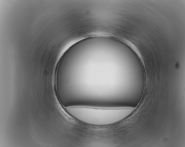 X0000091081195200708061038