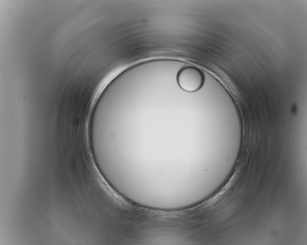 X0000091081196200708061038