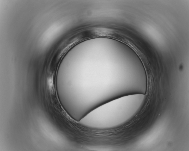 X0000091081198200708061038