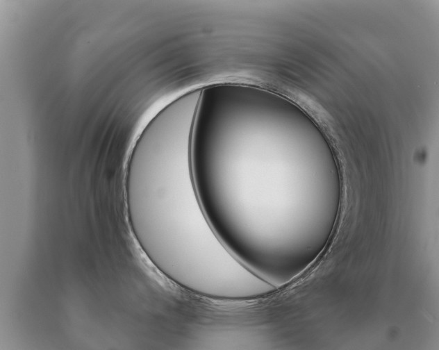 X0000091081200200708061038