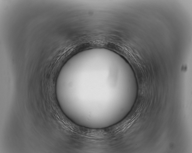 X0000091081201200708061038