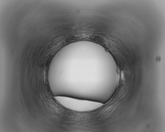 X0000091081203200708061038