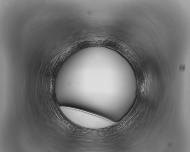 X0000091081204200708061038