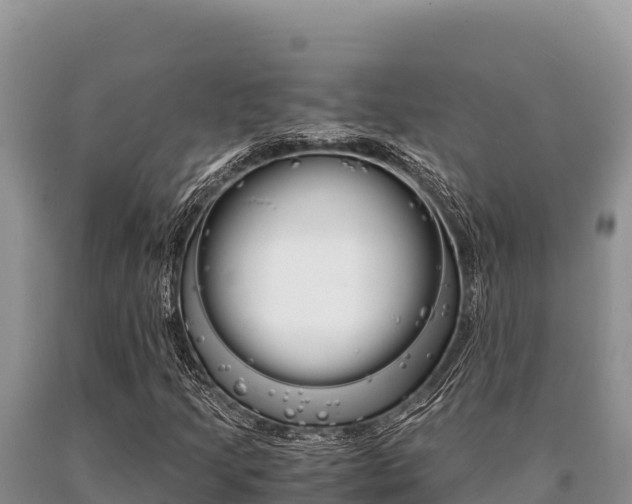 X0000091081205200708061038