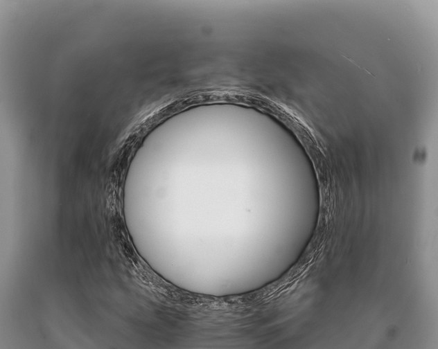 X0000091081207200708061038