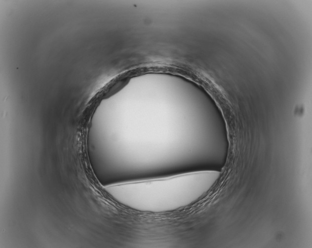 X0000091081208200708061038