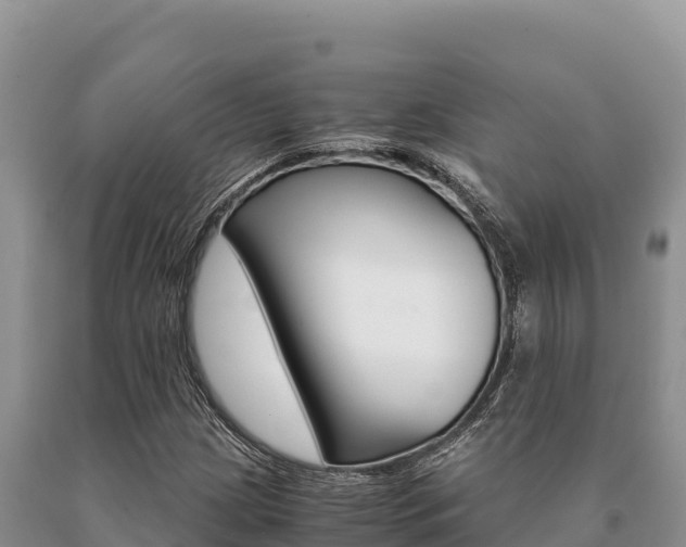 X0000091081209200708061038