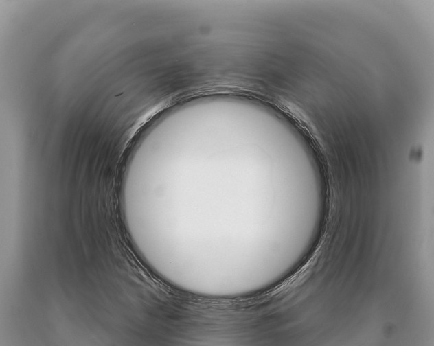 X0000091081210200708061038
