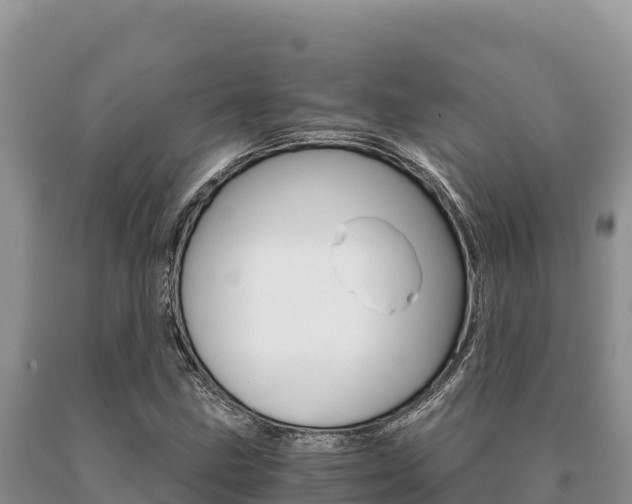 X0000091081211200708061038