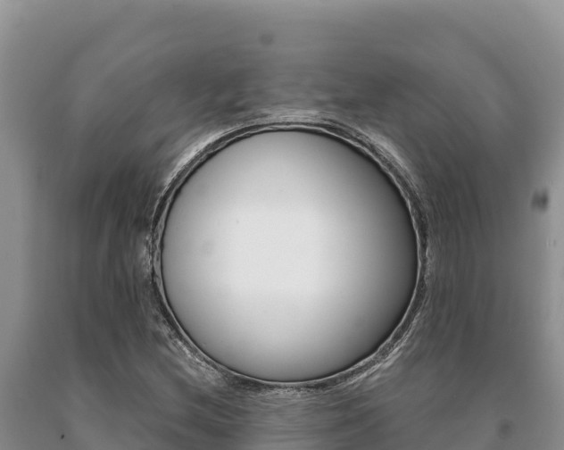 X0000091081212200708061038