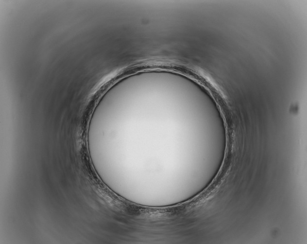 X0000091081213200708061038
