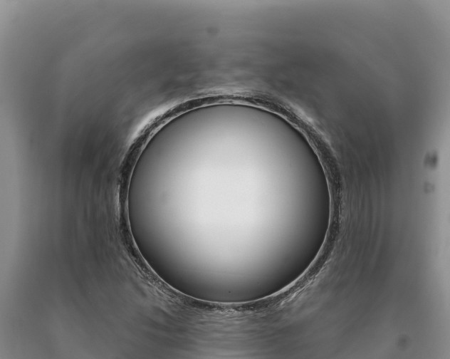 X0000091081214200708061038