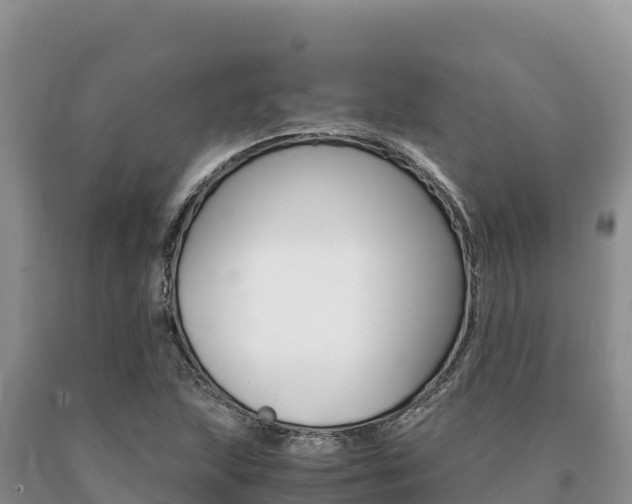 X0000091081215200708061038