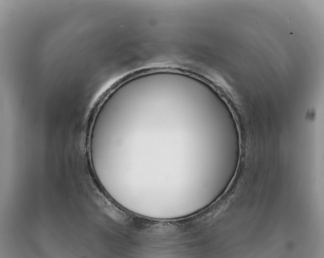 X0000091081216200708061038