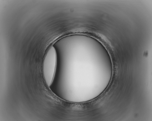 X0000091081217200708061038
