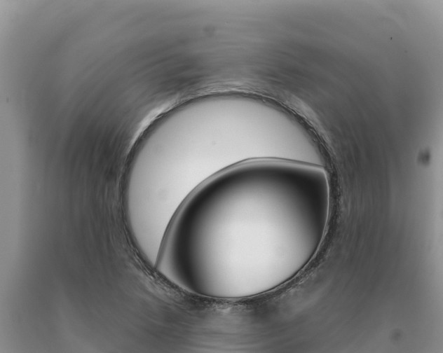 X0000091081218200708061038