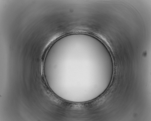 X0000091081219200708061038