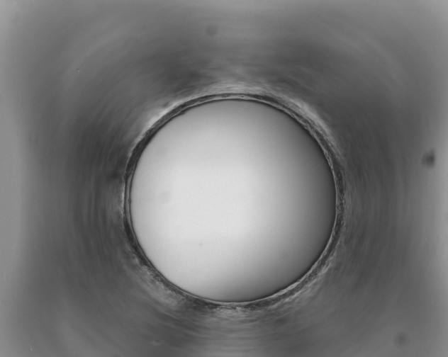 X0000091081220200708061038