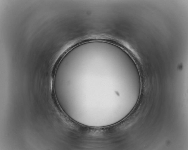 X0000091081221200708061038