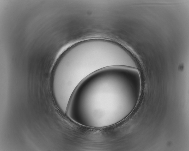 X0000091081222200708061038
