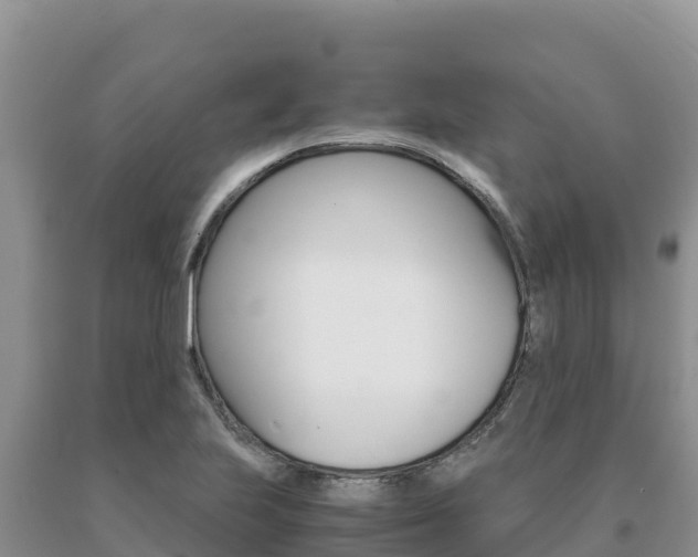 X0000091081223200708061038