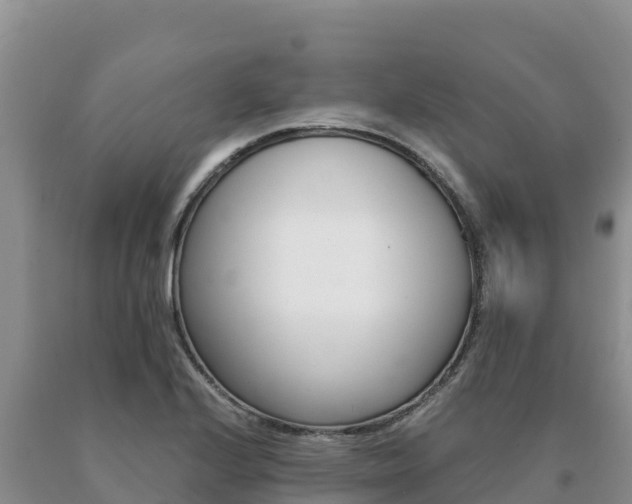 X0000091081224200708061038
