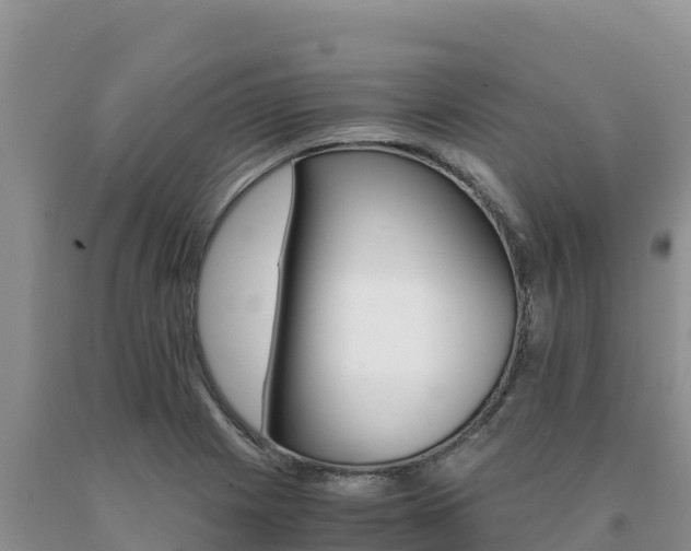 X0000091081225200708061038