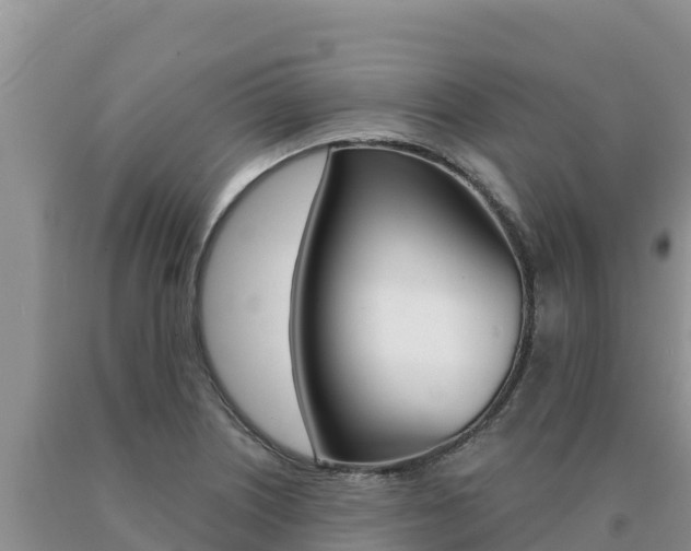 X0000091081226200708061038