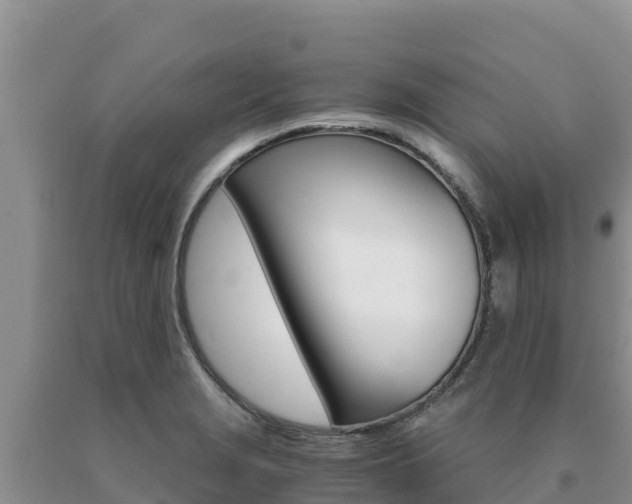 X0000091081229200708061038