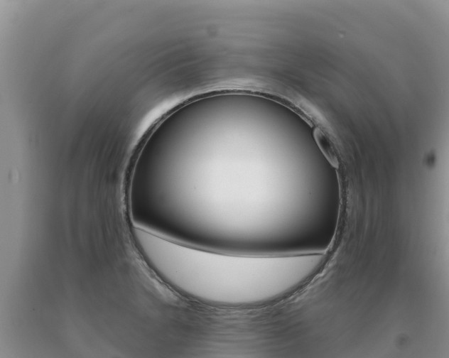 X0000091081230200708061038