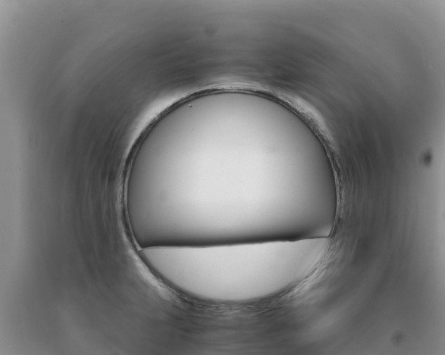 X0000091081231200708061038