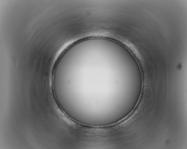 X0000091081232200708061038