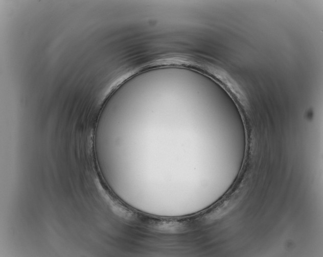 X0000091081233200708061038
